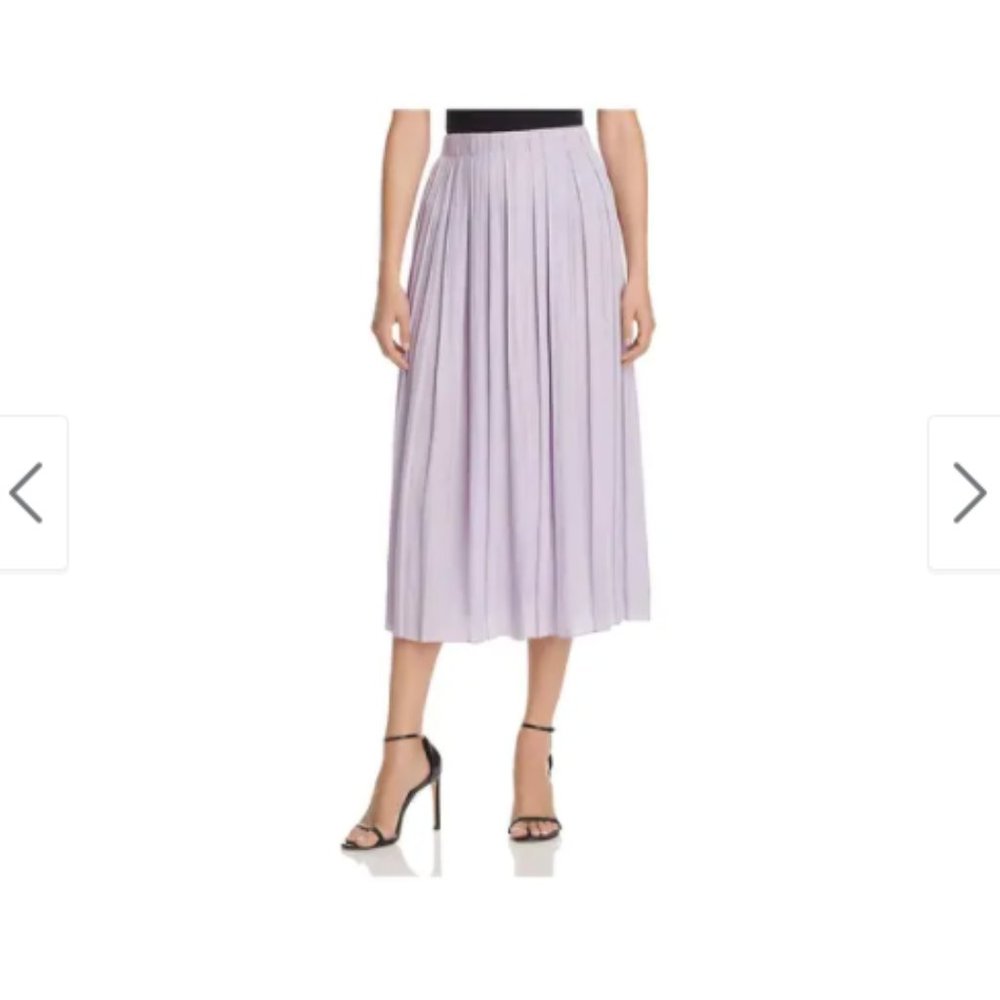 Elizabeth and James Pleated midi skirt